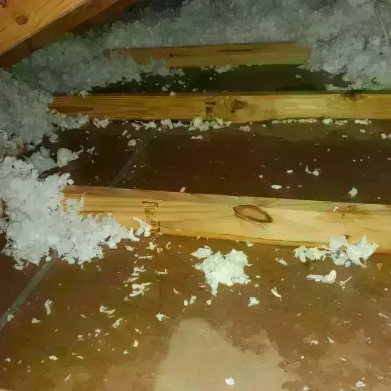 Attic Water Damage in Orland Park, IL