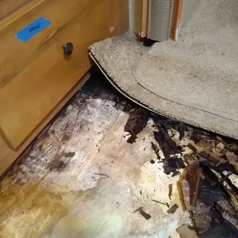 Wood Floor Water Damage in Orland Park, IL